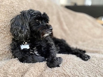 Tilly